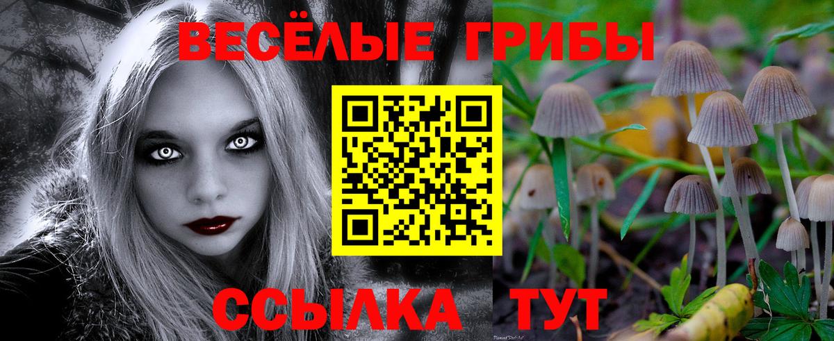 Галлюциногенные грибы прущие грибы  Вход с VPN  Славгород 