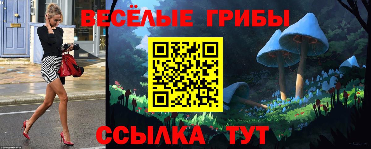 Псилоцибиновые грибы прущие грибы Славгород